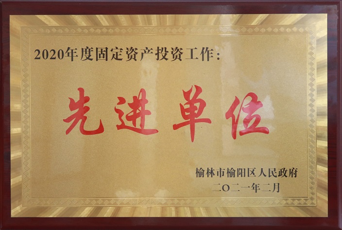 2020年牢靠资产投资先进单位.jpg