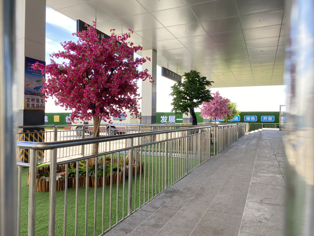 井口候车点2.jpg