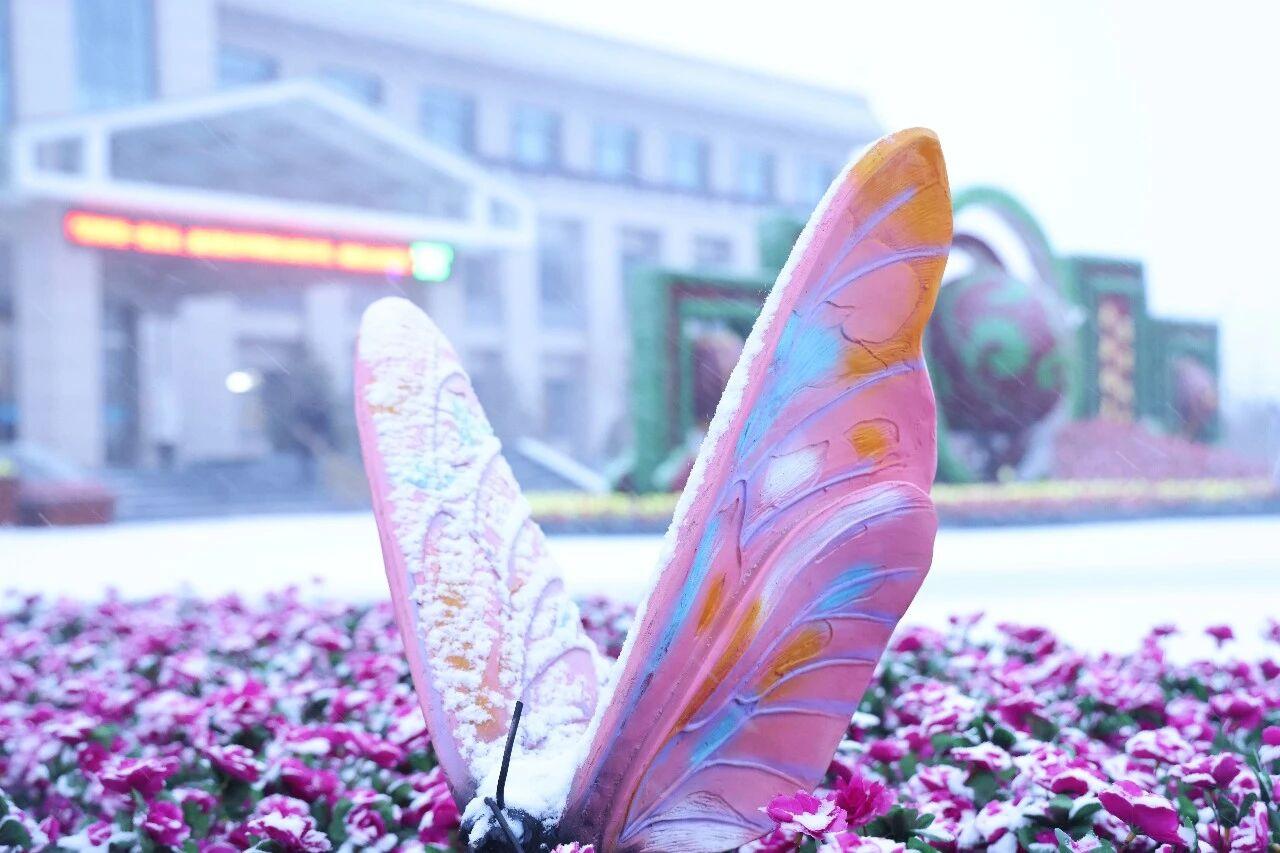 K8官网 - 天生赢家·一触即发